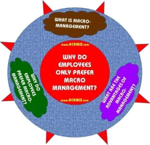 Why Do Employees Only Prefer Macro Management