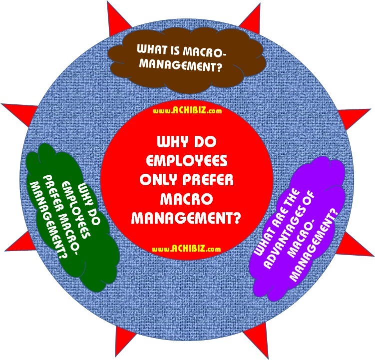 definition of macro management