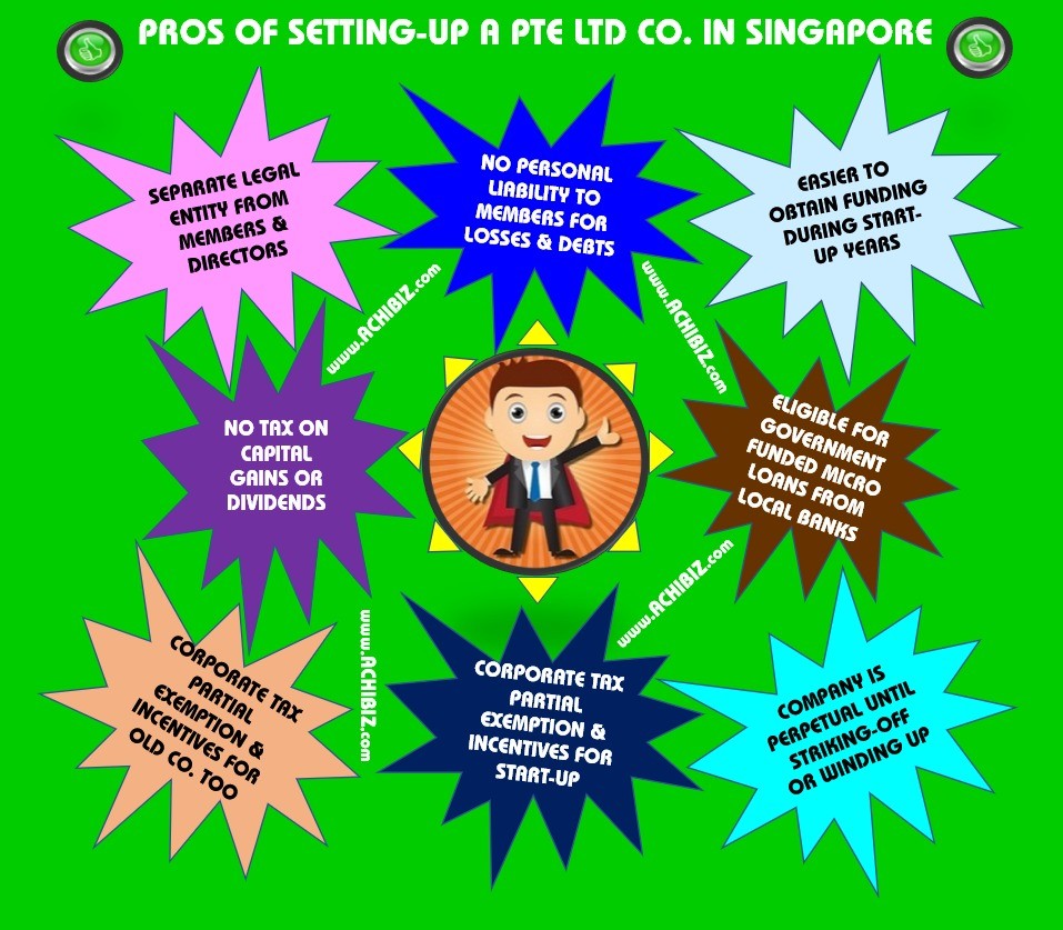 Singapore pte ltd entity