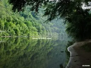 A view of river with trees at Delaware