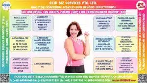 Work Permit For Nanny