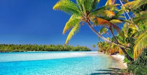Offshore: Cook Islands
