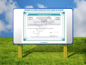 Share Allotment In Singapore