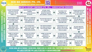 Infographic showing how import and export companies (Pte. Ltd.) operate in Singapore’s service sector