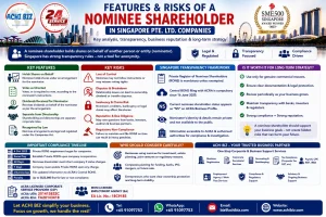 ACHI BIZ infographic on the features and risks of nominee shareholders in Singapore Pte. Ltd. companies, covering nominee shareholder arrangements, key risks, ACRA RONS compliance, transparency requirements, long-term business considerations and corporate services in Singapore.